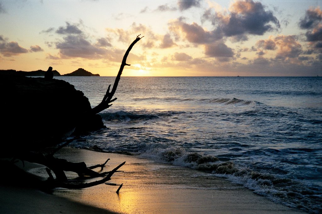 Runaway beach2 by magabri75