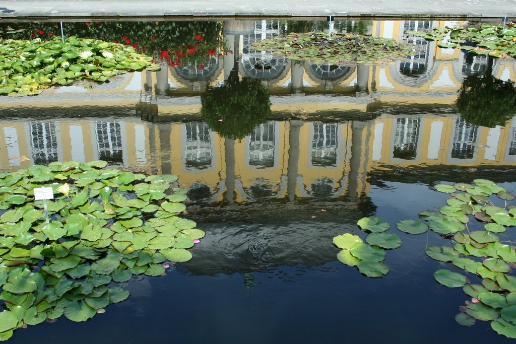 Poppelsdorfer Schloß Bonn by © Wim