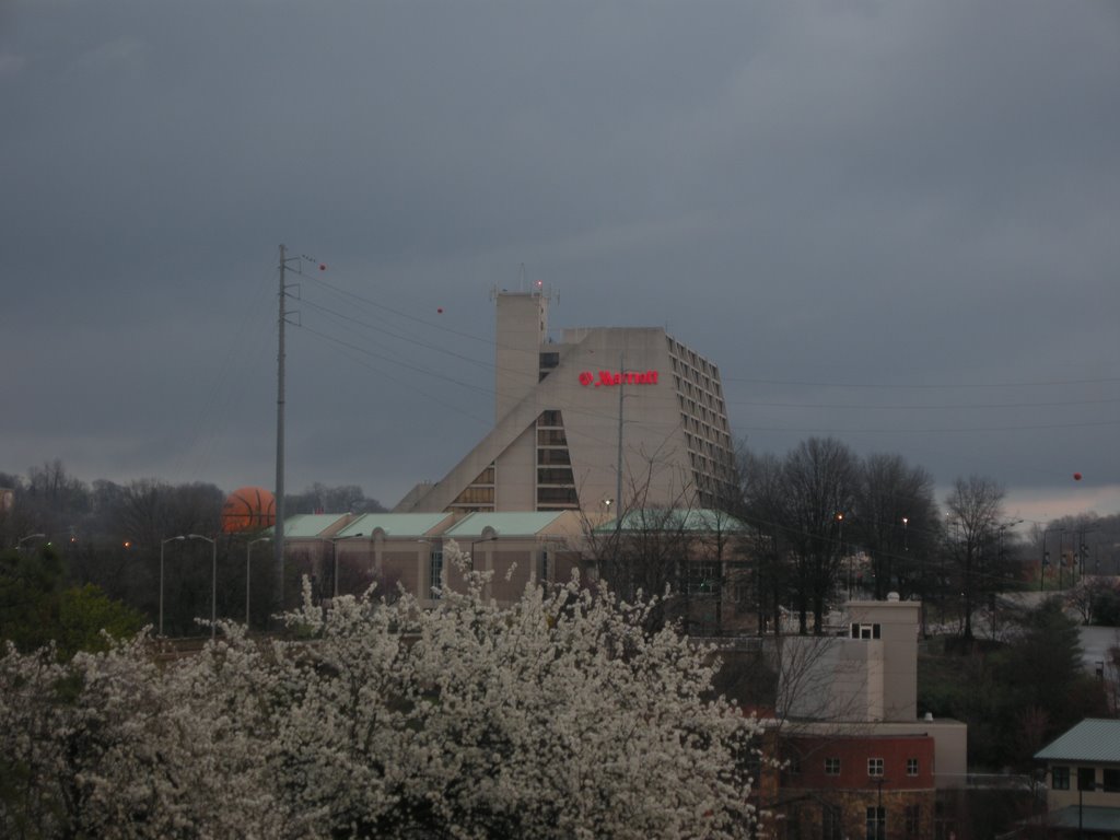 The Mariott and a giant basketball by jhwells