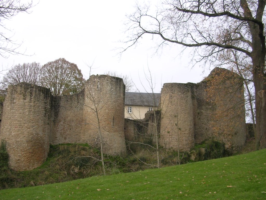 Chateau de Bressuire by zicx