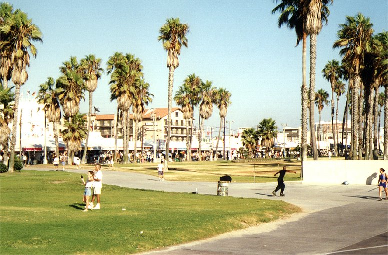 Venice Beach by carlitopolis