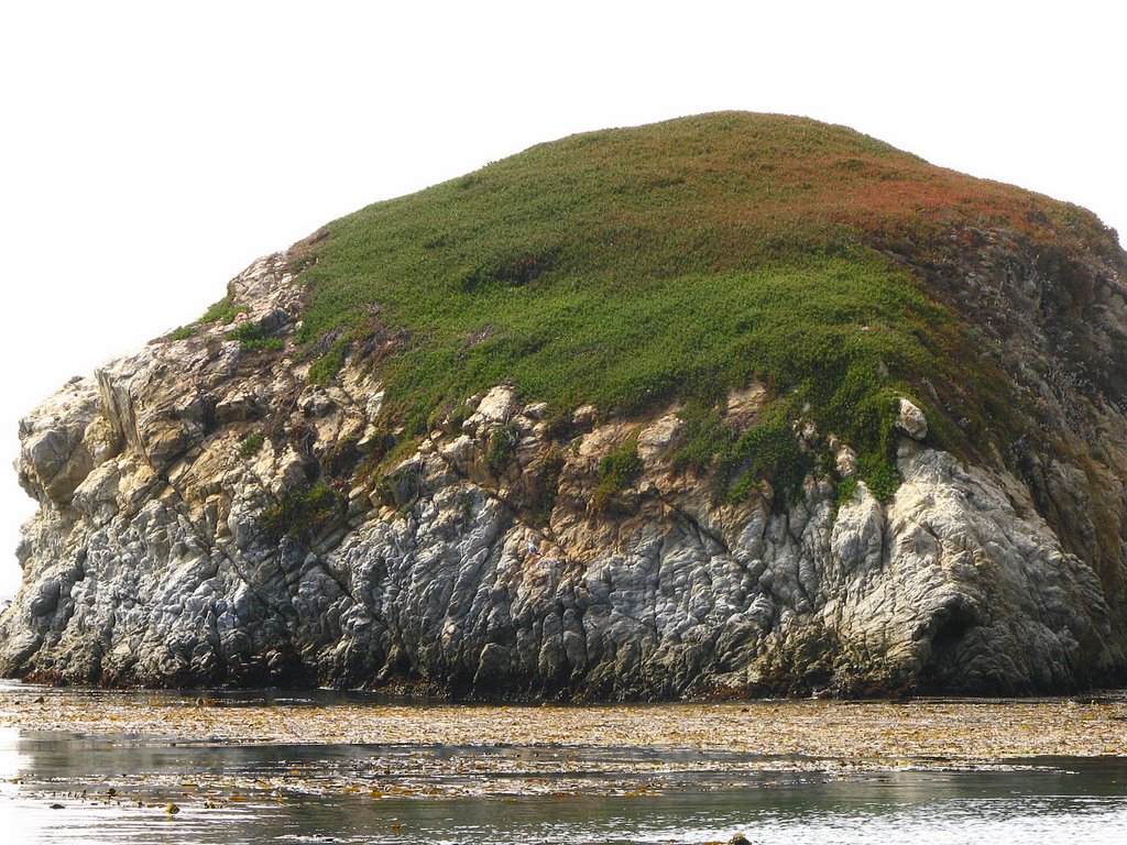 Rock formation near bird rock by JoySeeker