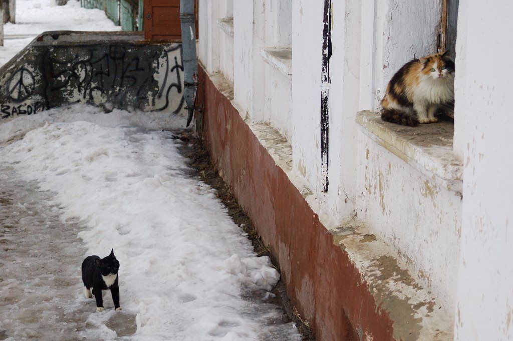 Serpukhov, Moscow Oblast, Russia by Andy Flipp