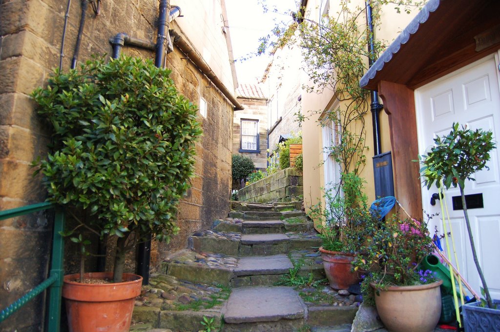 Robin Hoods Bay by Paula K