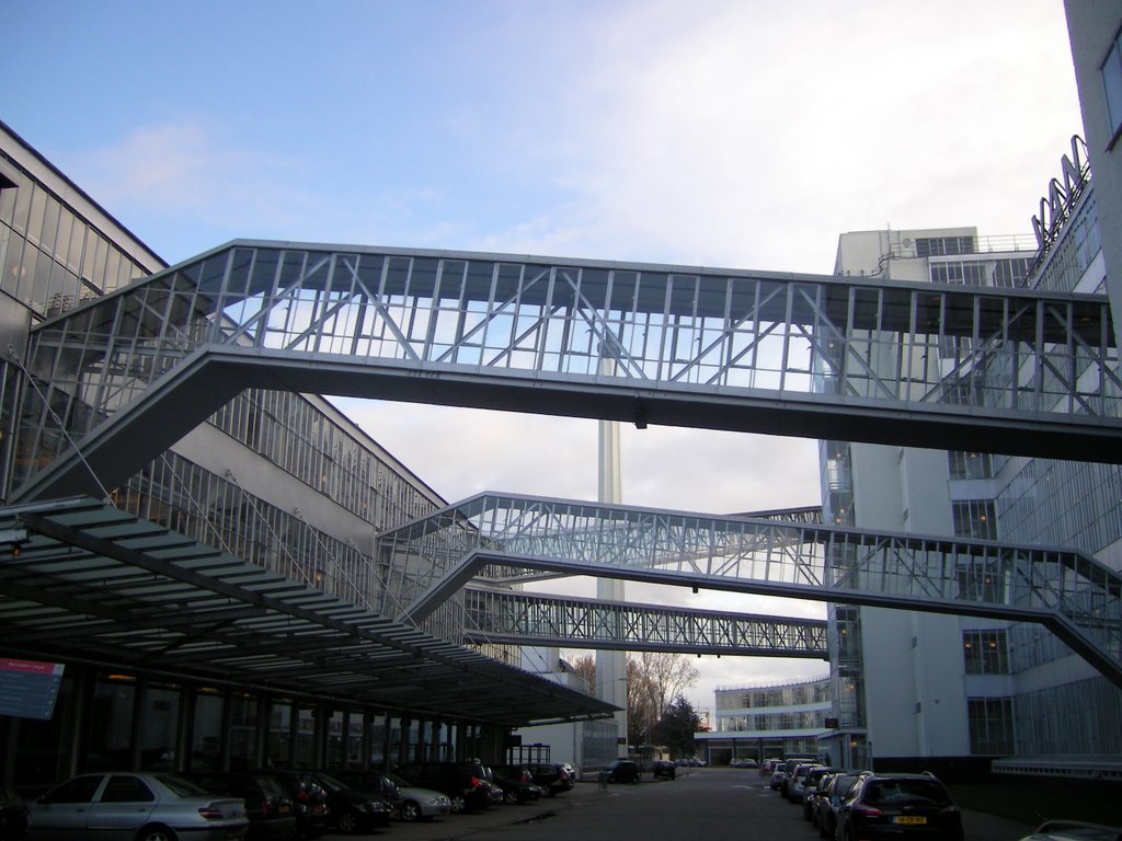 Former Van Nelle Factory - Rotterdam - Holland by Leo Roubos