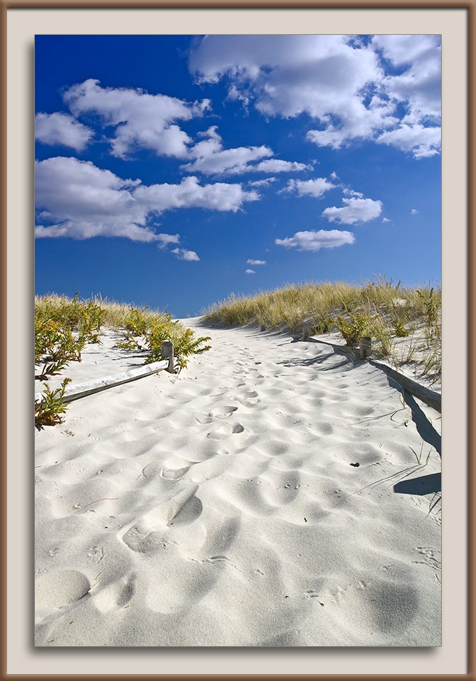 Dunes at Island Beach State Park by r.pope