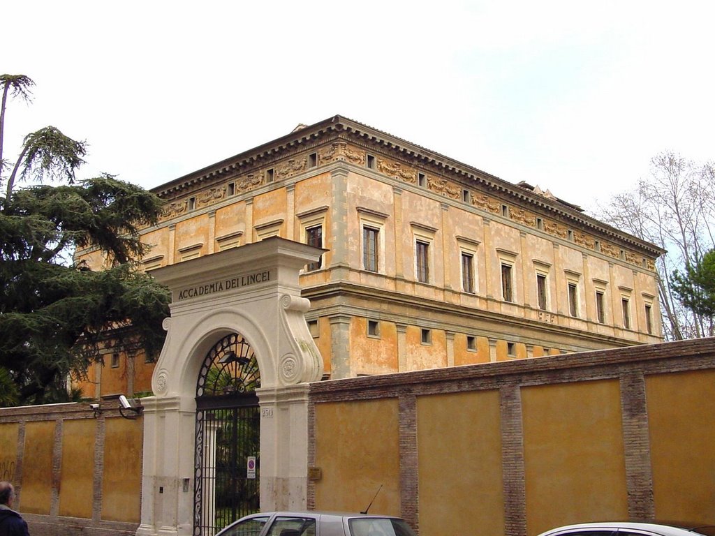 Trastevere, Rome, Italy by Derek Lamden