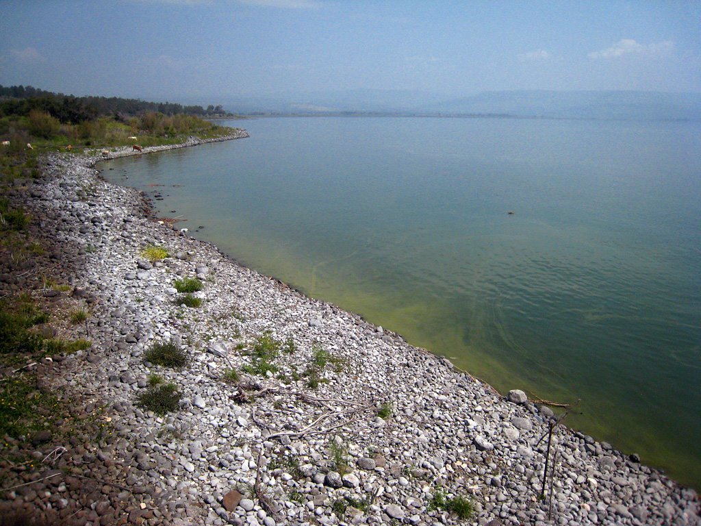 Capernaum shore by Carmel Horowitz