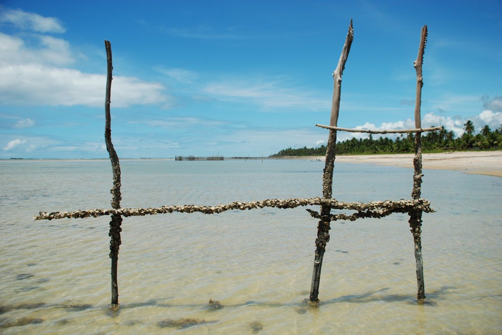 São Miguel dos Milagres - State of Alagoas, Brazil by Décio Sena