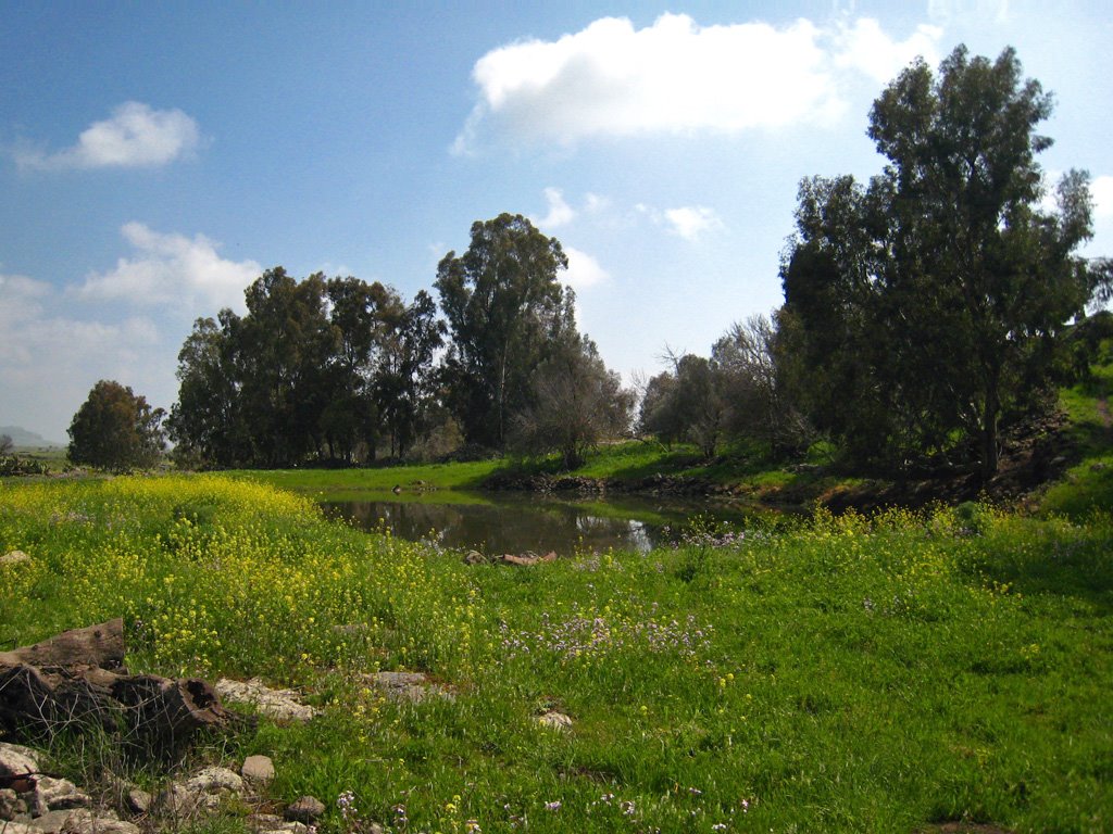 A beautiful hidden lake by CarmelH