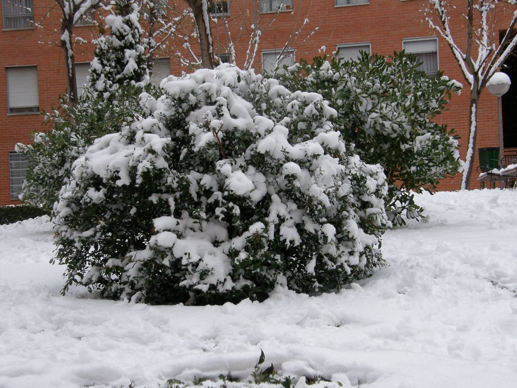 Nieve en Valdebernardo by jaopa