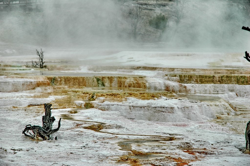 Mammoth Hot Springs Terraces 黄石公园-猛犸热泉钙华台地 by wendayys