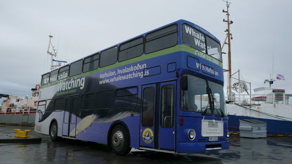 Whale watching tours shuttle double decker bus by Strætó