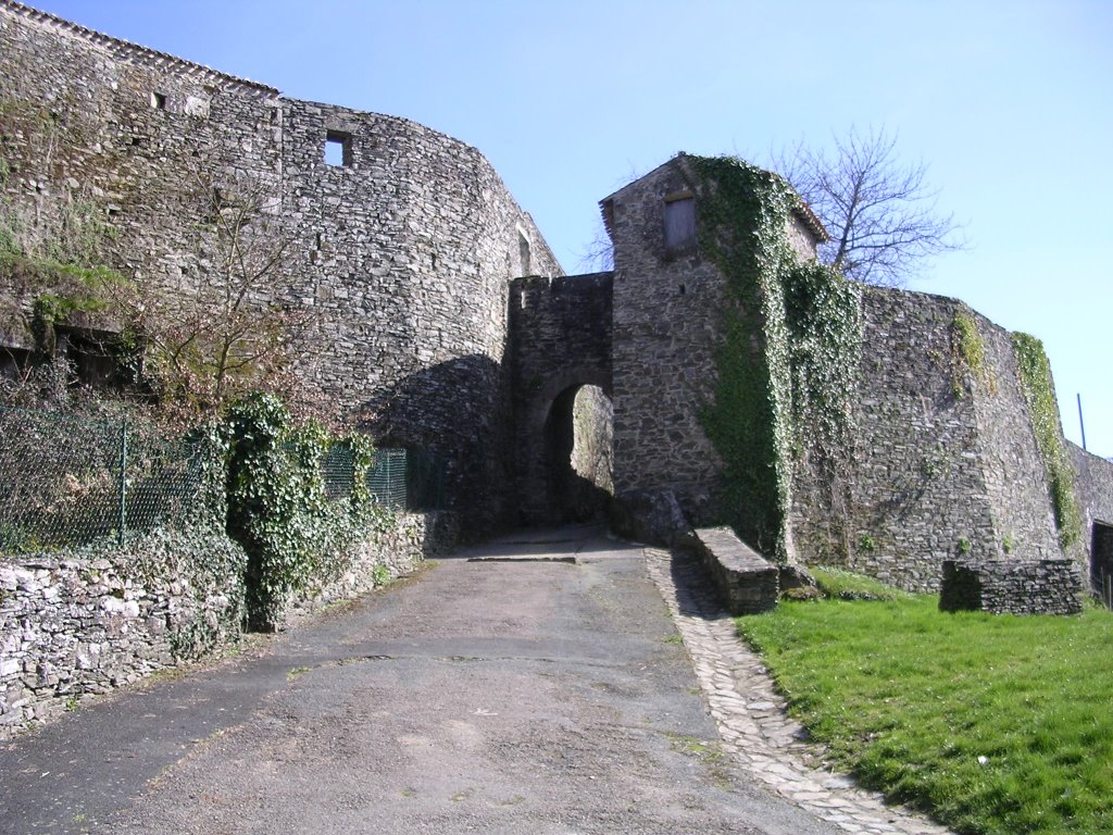 Poterne des remparts du Vouvant by zicx