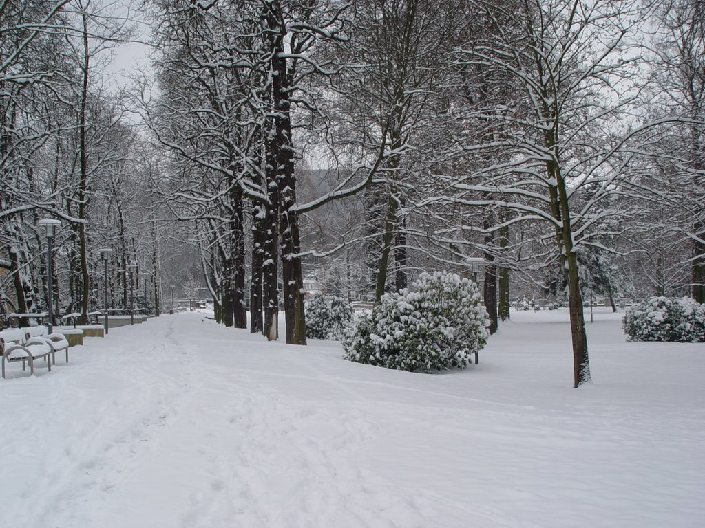 Kurpark im Winter by Sebastian Schneider