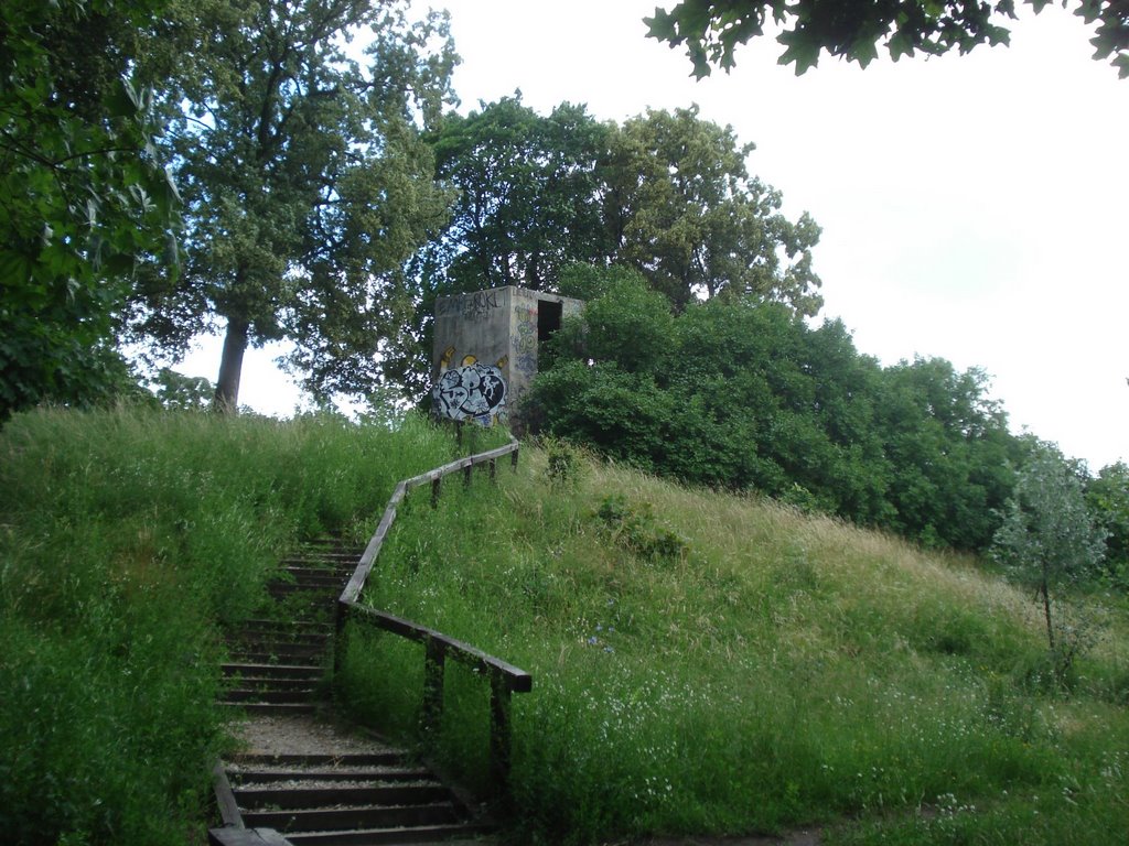 The "Secret Viewpoint" - © Émerson-V by Émerson-V