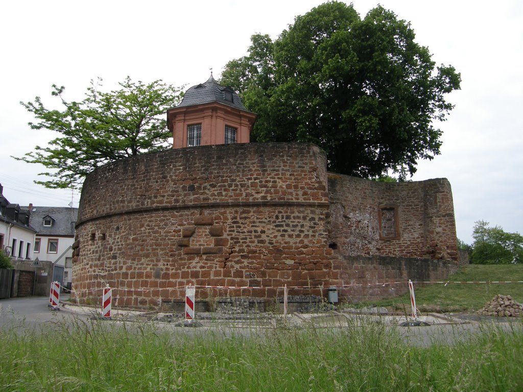 Wallmauer, Pfalzel, Deutschland by kaarvea