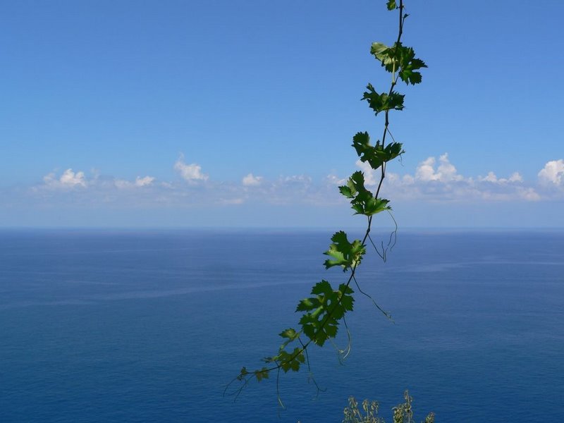 Banyalbufar, Mallorca by alorda