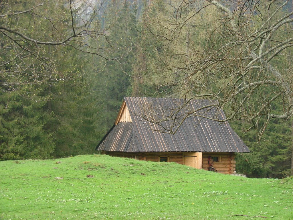 Zakopane, Poland by jokrasa