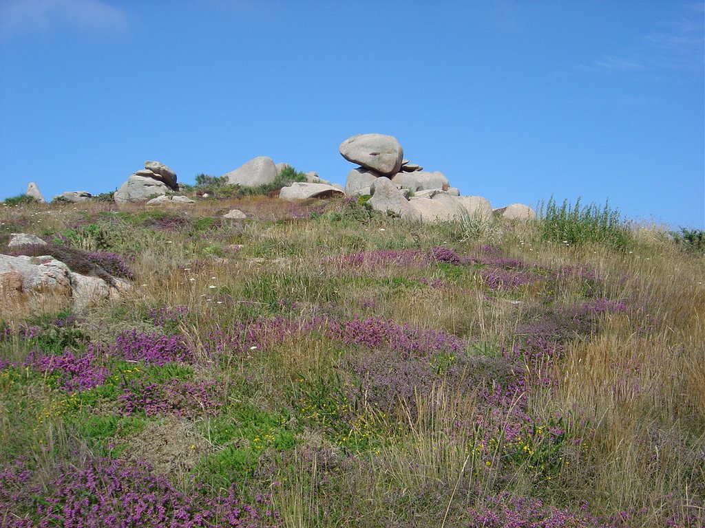 Cote de granit rose by h.m.