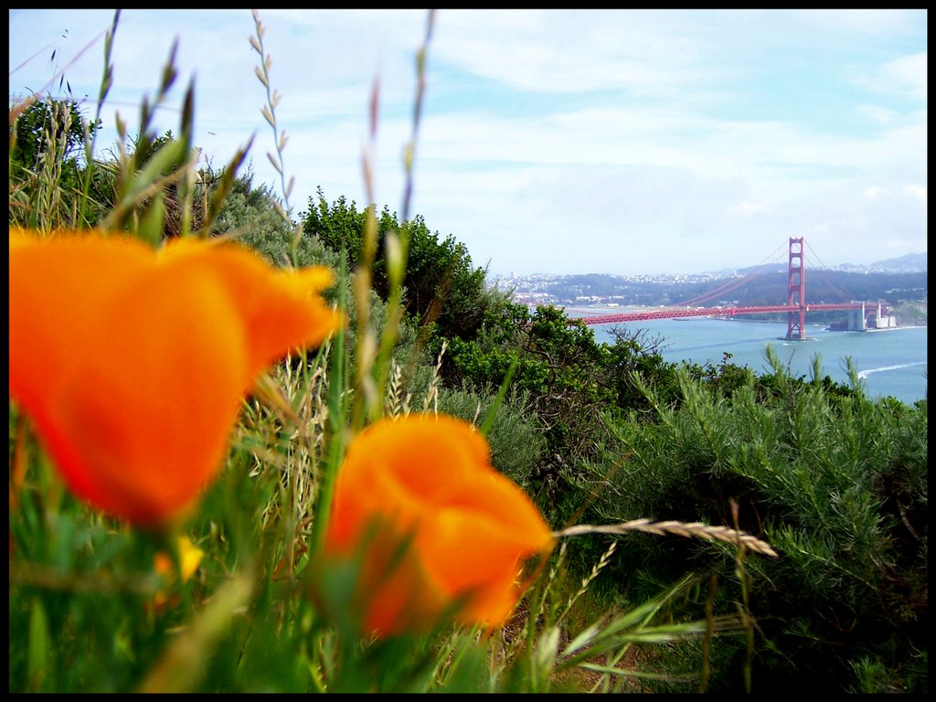 Golden Gate With Flower by S. Page