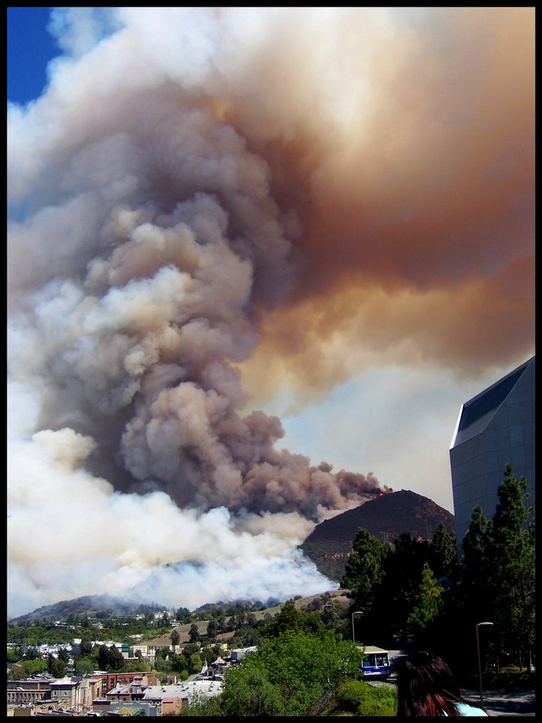 Hollywood Hills Brush Fire 2007 by S. Page