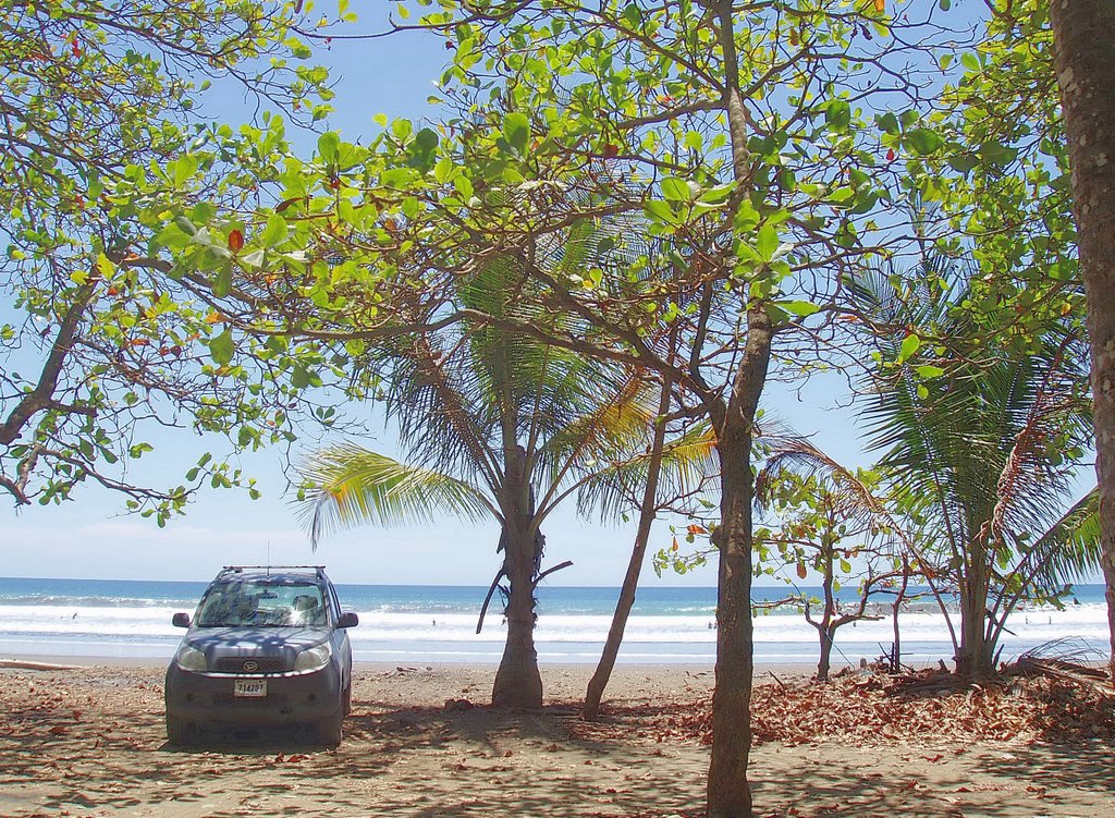 Bego sur la plage by Gilles Chênevert