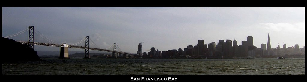 San Francisco from Treasure Island by S. Page