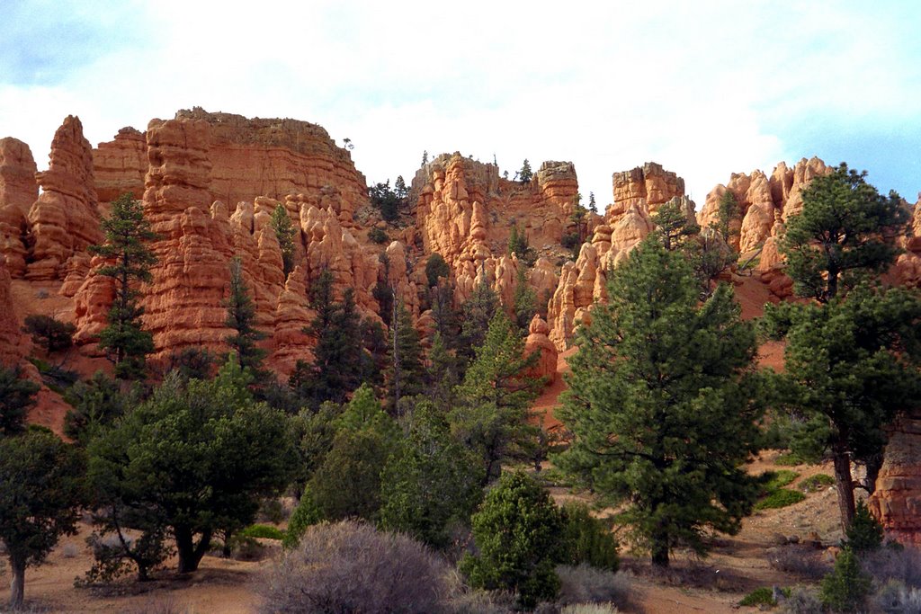 USA - Red Canyon near Brice Canyon by Wolfgang Spillner