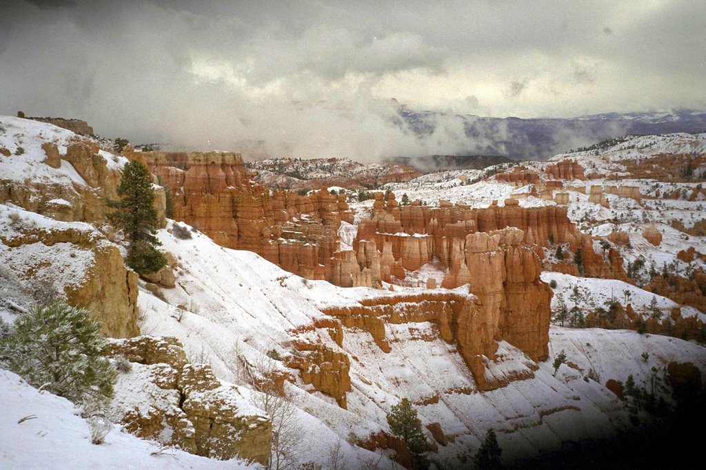 USA - Bryce Canyon by Wolfgang Spillner