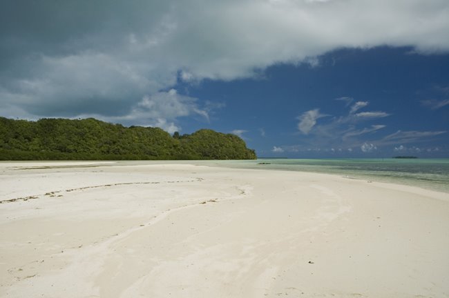 Carp Islamd, Palau by HIDEO OBAYASHI