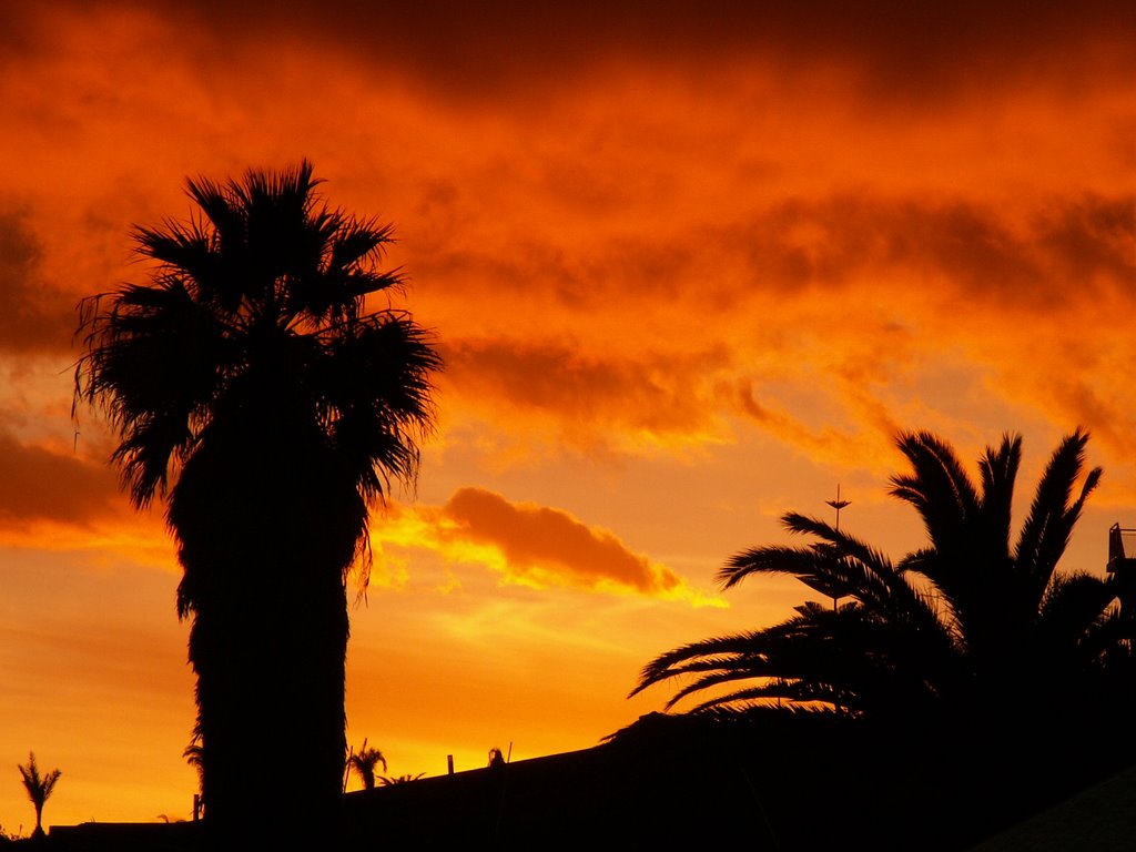 Winter Evening in Madeira by Rimvydas Čirba