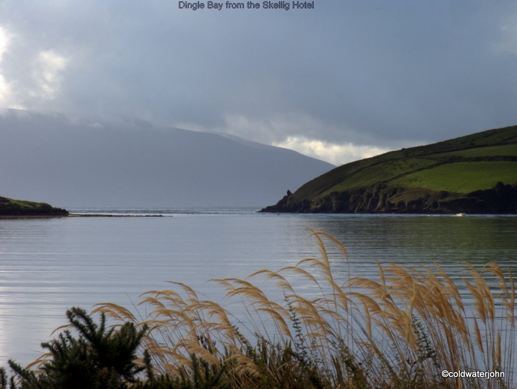 View of Dingle Bay from the hotel garden by coldwaterjohn