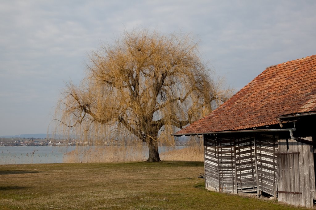 Ermatingen, Switzerland by Judith & Achim