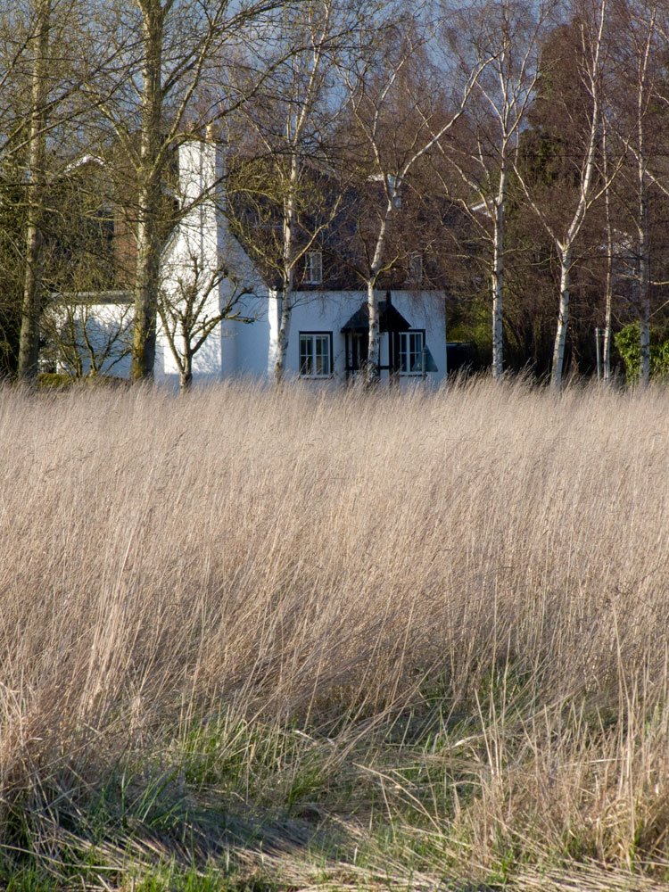 " Rose Cottage" Hinxworth by Dylan Mills