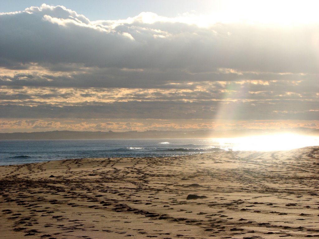 Woolamai Beach by Miss LWL