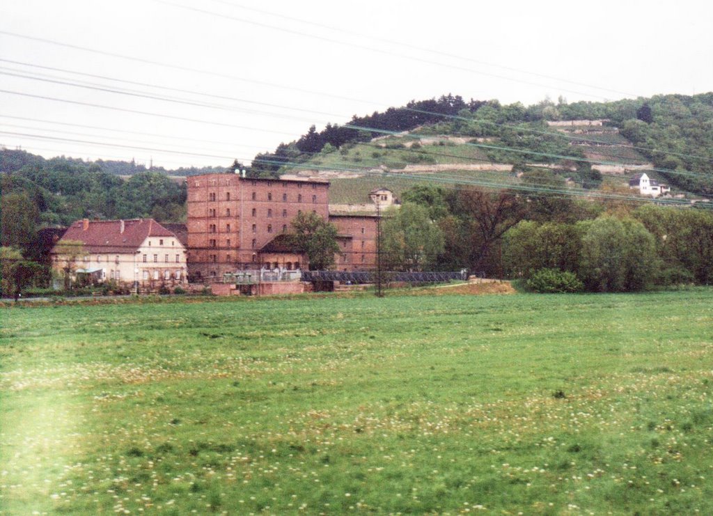 8.5.99 Muehle Zeddenbach by Uli Stollberg