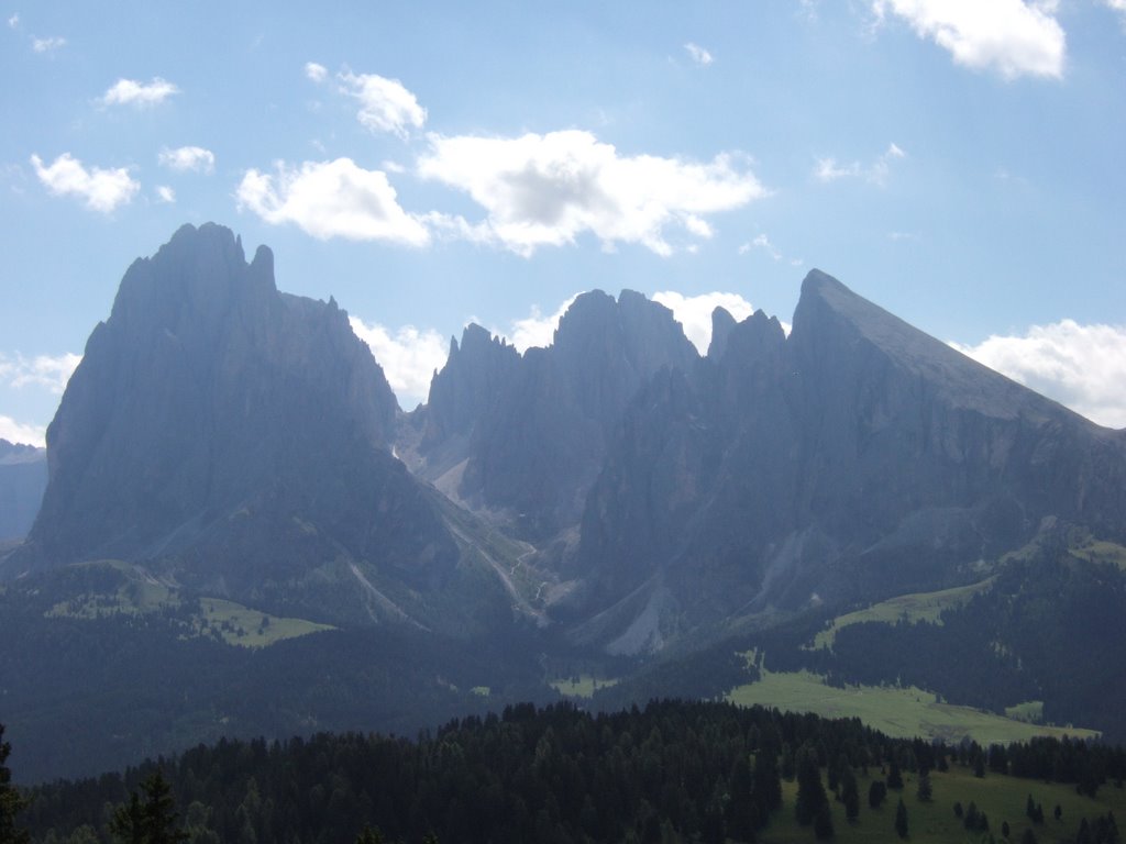 Sassolungo e Sassopiatto visti dall'Alpe di Siusi by Niccolò Arnaldi