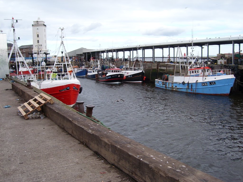 North Shields Fish Quay & Low Light by local lass