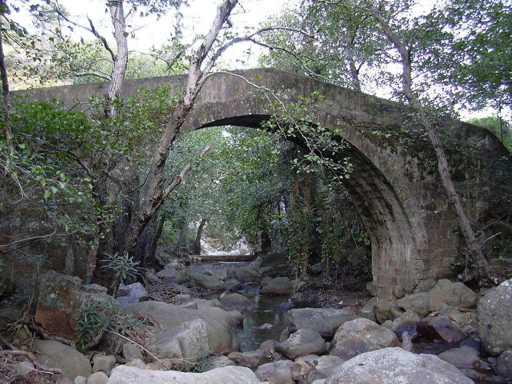 Puente sobre el rio de la miel by Antonio Pérez Moreno