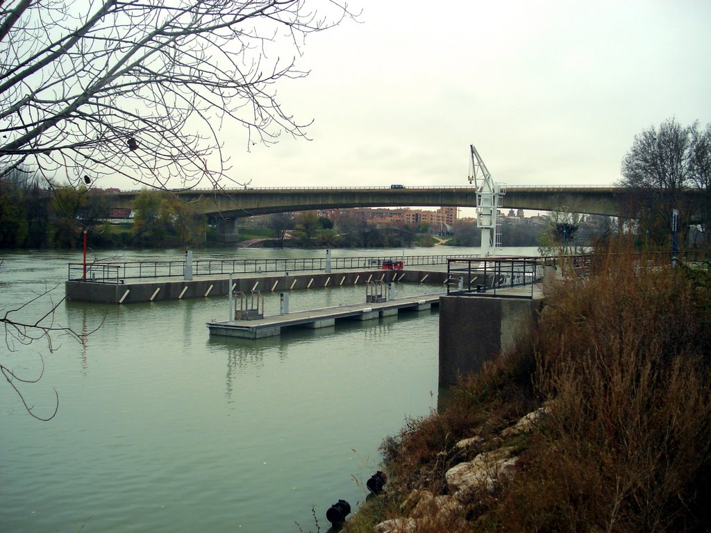 Paseo por la ribera del Ebro by jenper