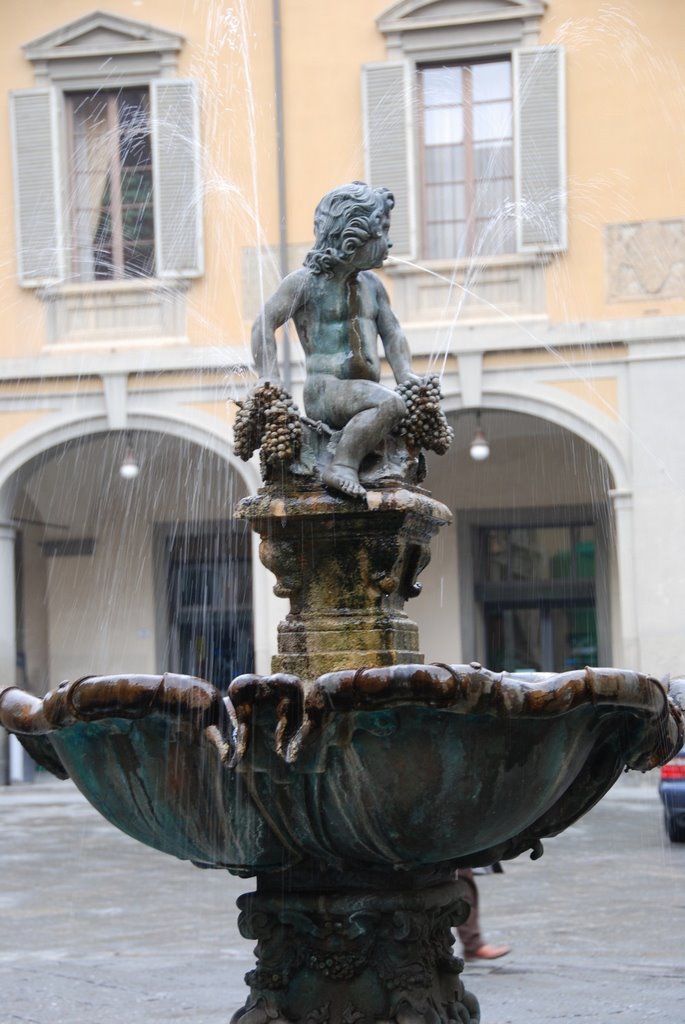 Prato: Fontana di Bacchino by Giorgio Barni