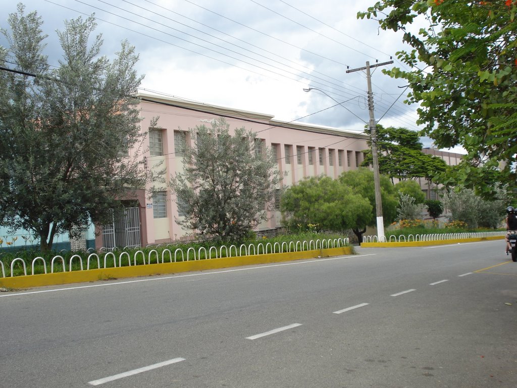 Avenida Pinheiro Chagas e Colégio N. Sra de Oliveira by silvadamasceno