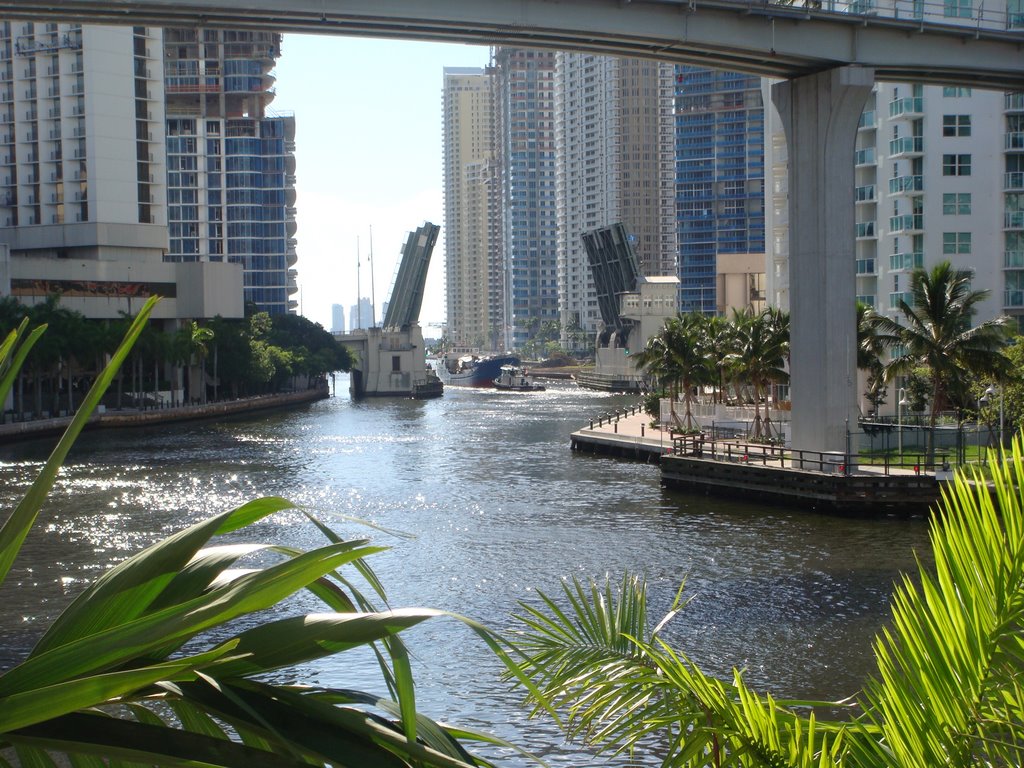 Puente brickell foto 3 by carlos alberto arang…