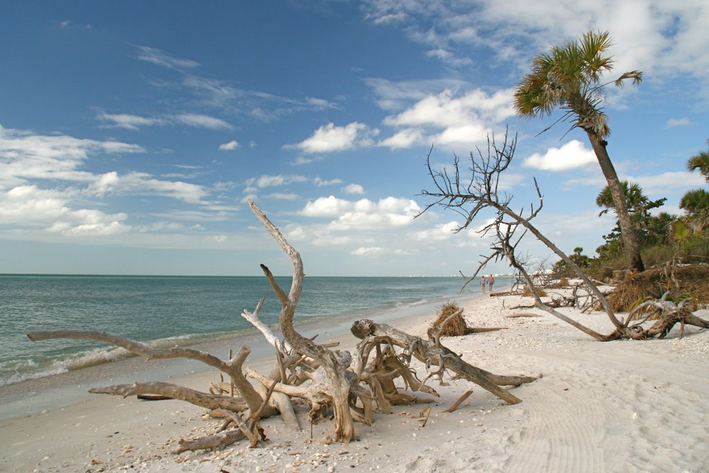 Barefoot Beach, Bonita Bch, FL 5 by Rubin Pitarka