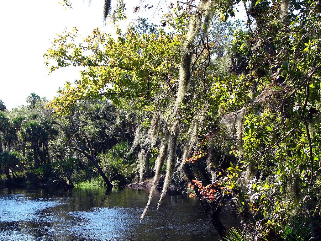 River View by Tom Choma