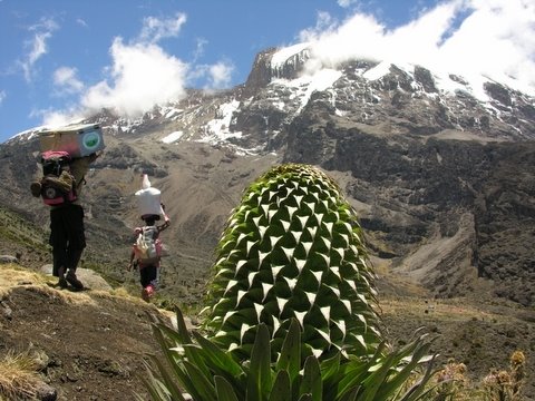 Kili view from Barranco Hut by marco029