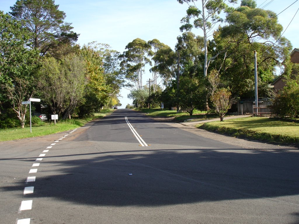 Glenview Rd by Mark Read