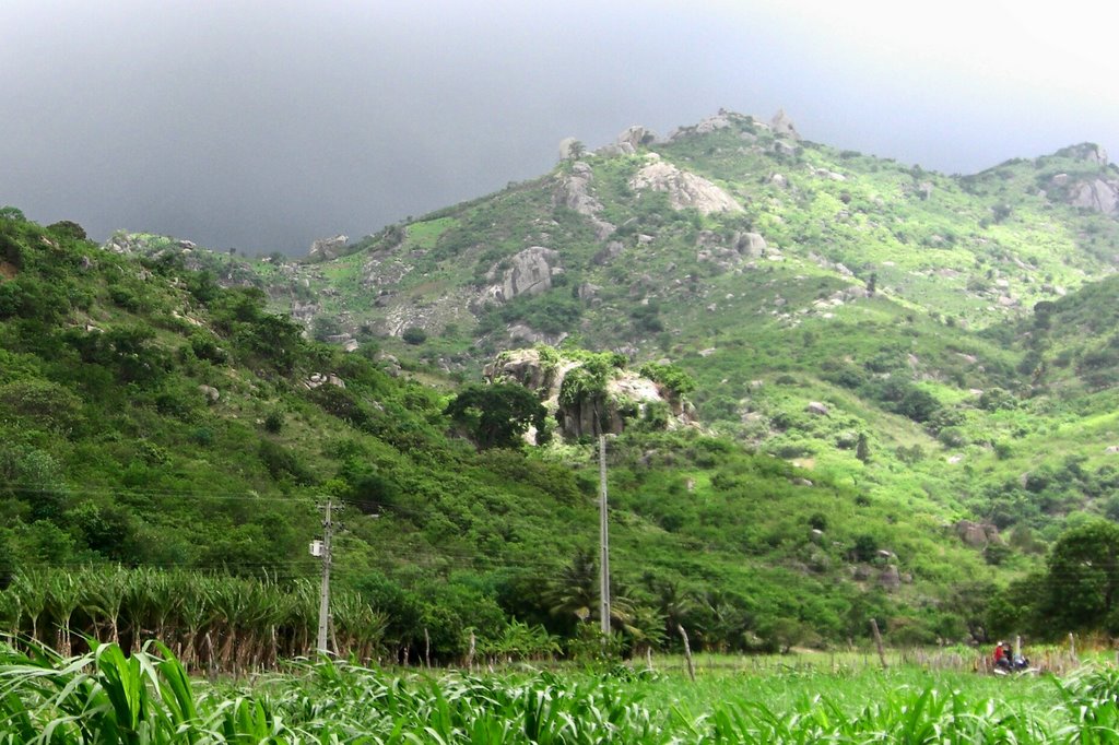 NASCENTE (LESTE) - DISTRITO DE BAIXA GRANDE by MACÍLIO GOMES