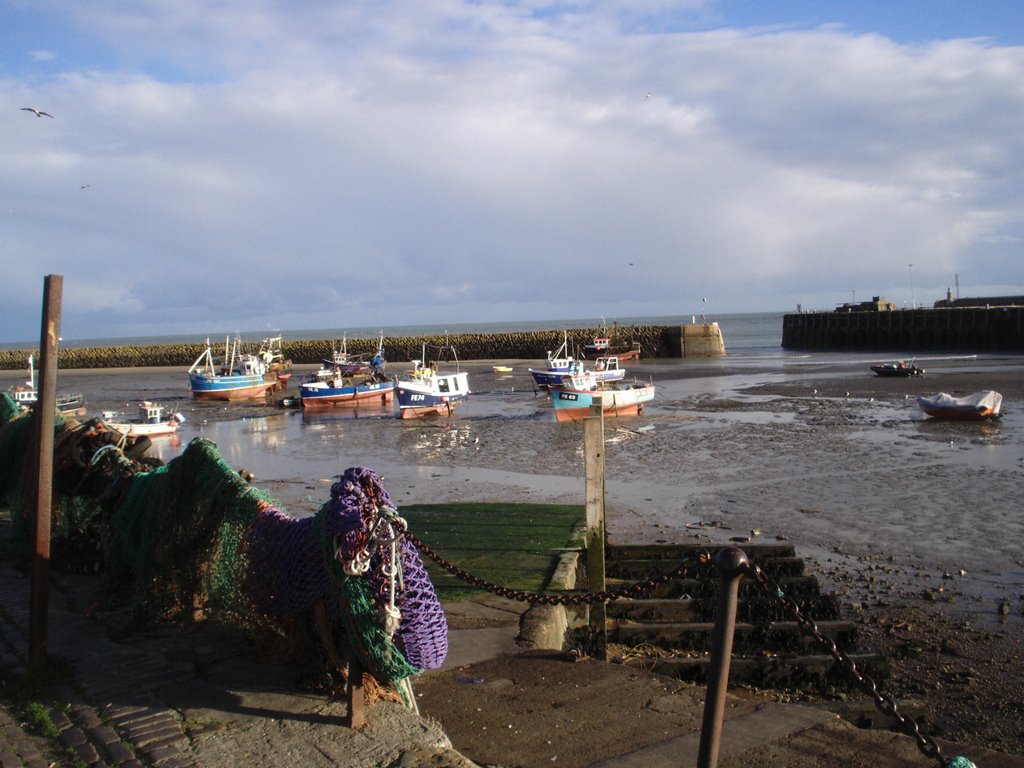 The Harbour by muba